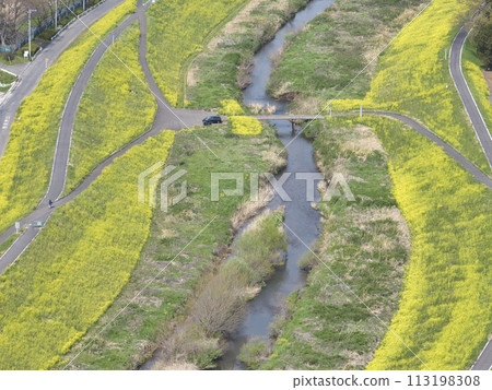 A rare submerged bridge (Kamatori Bridge) over the Kowagawa River and rape blossoms in full bloom, Kawagoe City, Saitama Prefecture (aerial photograph by drone) 113198308