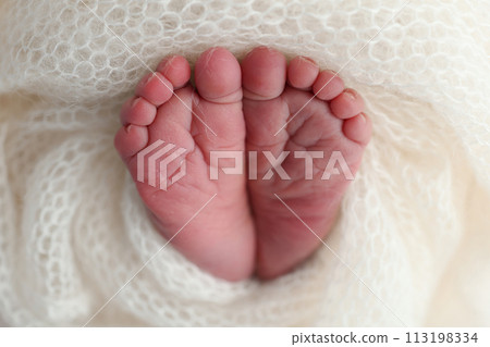 The tiny foot of a newborn baby. Soft feet of a new born in a wool white blanket. Close up of toes, heels and feet of a newborn. Macro photography. 113198334