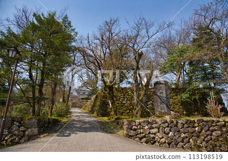 Ono Castle waiting for the cherry blossoms to bloom 113198519