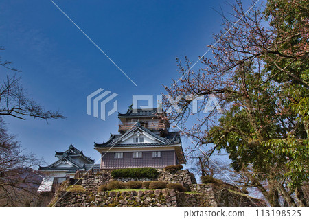 小野城等待櫻花盛開 小野城等待櫻花盛開 113198525