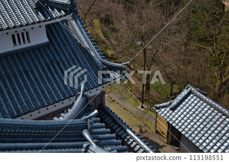 Ono Castle waiting for the cherry blossoms to bloom 113198551