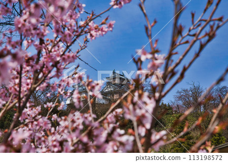 Ono Castle waiting for the cherry blossoms to bloom Ono Castle waiting for the cherry blossoms to bloom 113198572