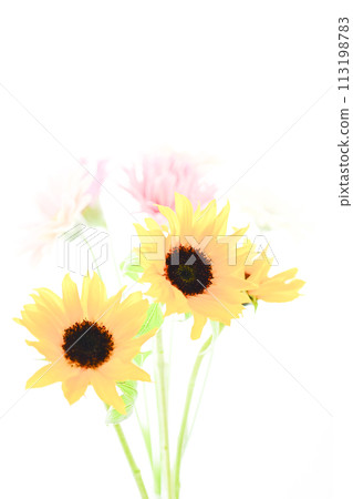 Bright sunflowers and bouquet 113198783