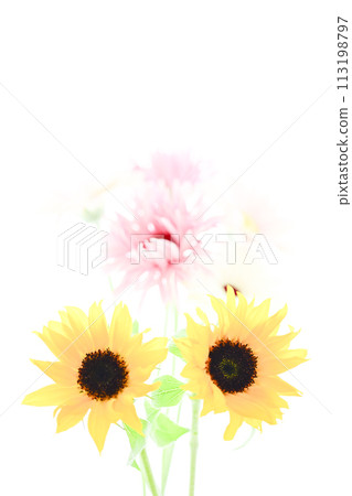 Bright sunflowers and bouquet Bright sunflowers and bouquet 113198797