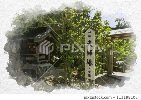 水彩風八重垣神社情侶山茶花少女山茶花島根縣松江市 113199105