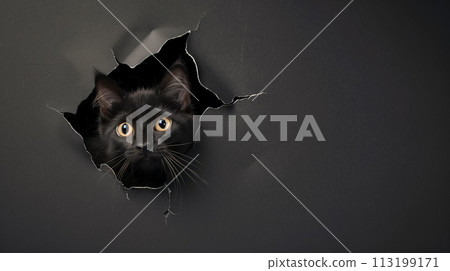 Black upset kitten with peeking out from a torn hole of the black paper background. Copy space, AI Generative 113199171