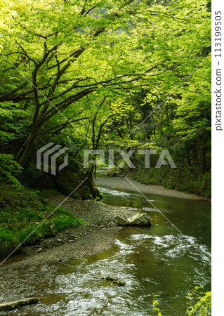 Clear stream Clear stream 113199505