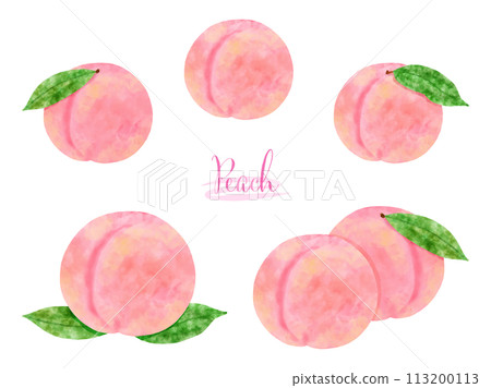 水彩畫的桃子插圖集 水彩畫的桃子插圖集 113200113