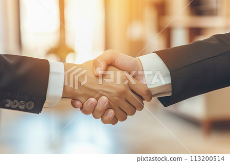 Firm handshake in corporate setting symbolizing partnership Firm handshake in corporate setting symbolizing partnership 113200514
