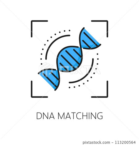 Dna matching biometric identification, recognition or verification icon features intertwined double helix strands, symbolizing genetic connection. Vector linear sign represents genetic identity Dna matching biometric identification, recognition or verification icon features intertwined double helix strands, symbolizing genetic connection. Vector linear sign represents genetic identity 113200564