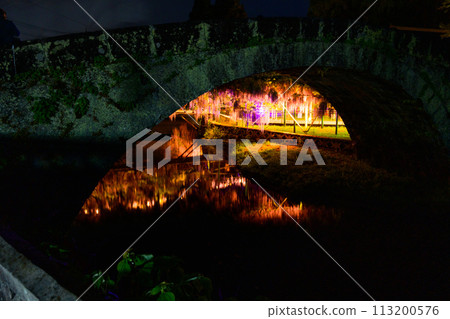Wisteria trellis scenery that shines in the spring night illumination (Yamafuji Natural Monument) ``Sasamuta Shrine'', Samta, Oita City Wisteria trellis scenery that shines in the spring night illumination (Yamafuji Natural Monument) ``Sasamuta Shrine'', Samta, Oita City 113200576