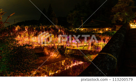 大分市三多市「笹睦田神社」春夜彩燈下閃耀的紫藤架景觀（山富士天然紀念物） 113200579