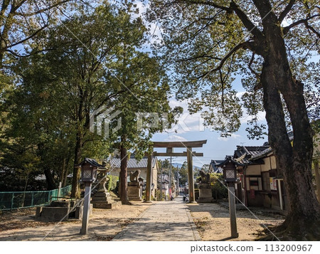 若宮神社/大名子貓神社 113200967
