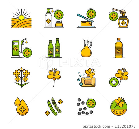 Rapeseed, canola oil icons with vector flowers and seeds. Thin line agriculture crop plant field, colza vegetable oil bottle, jar, jug and golden drop. Butter, biofuel, rapeseed honey and cosmetics Rapeseed, canola oil icons with vector flowers and seeds. Thin line agriculture crop plant field, colza vegetable oil bottle, jar, jug and golden drop. Butter, biofuel, rapeseed honey and cosmetics 113201075
