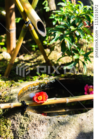 京都府八幡市松花堂花園、八幡次郎花、茶室、草庵松花堂長缽 113201672