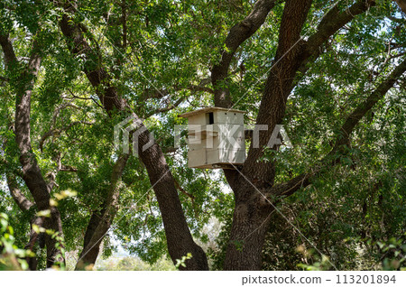 Park Ramat Hanadiv, Memorial Gardens of Baron Edmond de Rothschild, Zichron Yaakov, Israel 113201894
