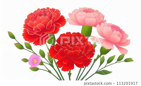 mother's day red carnation flowers mother's day red carnation flowers 113201917