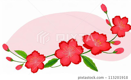 mother's day red carnation flowers 113201918