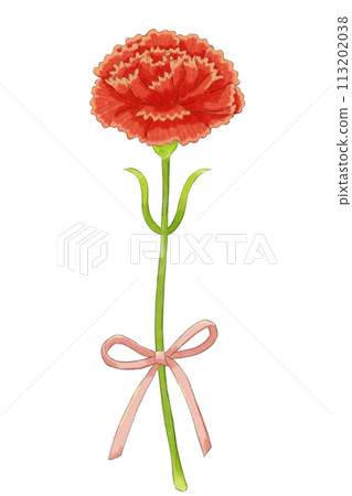 A single red carnation (with ribbon) 113202038