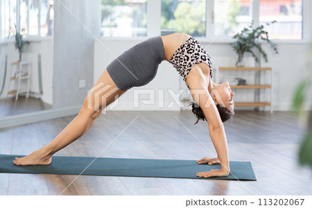 Lover of active lifestyle on yoga mat perform doing Chakrasana in gym Lover of active lifestyle on yoga mat perform doing Chakrasana in gym 113202067