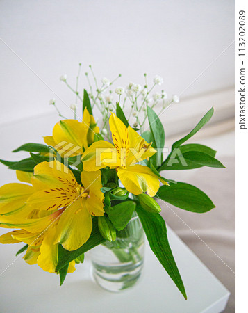 室內綠色花束 室內綠色花束 113202089