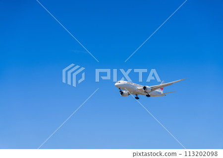 《Airplane》Boeing Boeing 787 > 787-8 Dreamliner 《Airplane》Boeing Boeing 787 > 787-8 Dreamliner 113202098