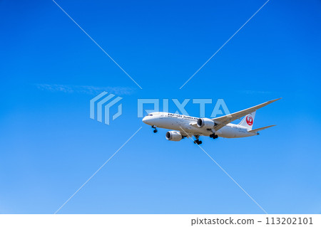 《Airplane》Boeing Boeing 787 > 787-8 Dreamliner 113202101