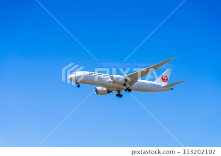 《Airplane》Boeing Boeing 787 > 787-8 Dreamliner 113202102