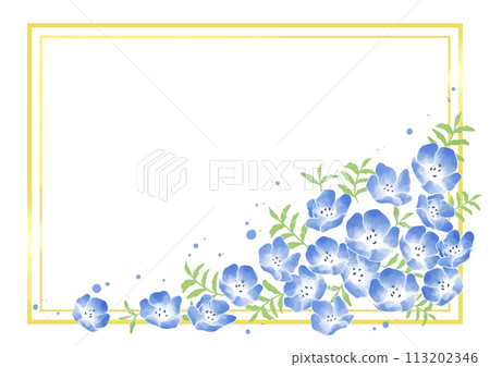 粉蝶框架 1 113202346