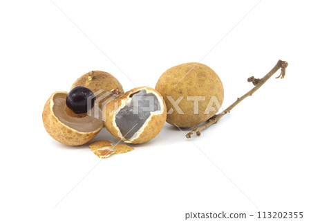 Dragon eye fruit or longan bao isolated on white Dragon eye fruit or longan bao isolated on white 113202355