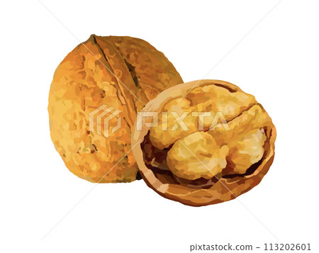 核桃(帶殼) 核桃(帶殼) 113202601