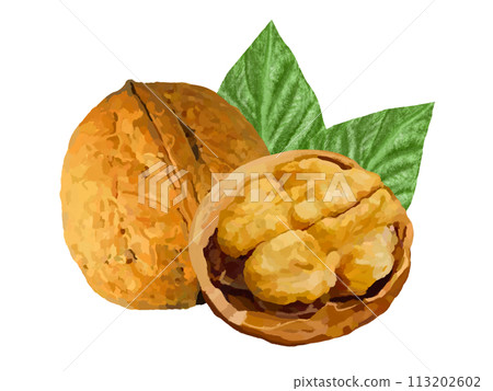 Walnuts (with shell and leaves) Walnuts (with shell and leaves) 113202602