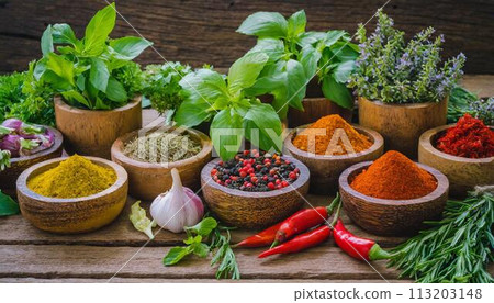 Colorful spices and aromatic vegetables Colorful spices and aromatic vegetables 113203148