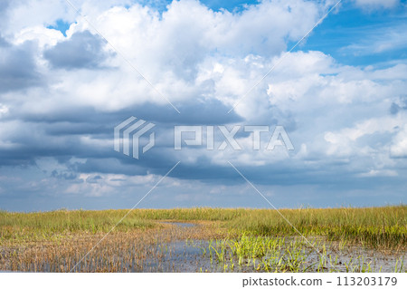 Cloudy skies above the open Florida Everglades grasslands Cloudy skies above the open Florida Everglades grasslands 113203179