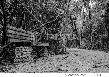 Trail park bench at Windley Key Fossil Reef Geological State Park in Islamorada, Florida Trail park bench at Windley Key Fossil Reef Geological State Park in Islamorada, Florida 113203180