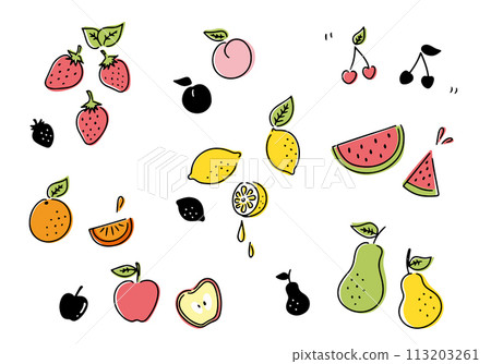 Hand drawn fruit illustration set 113203261