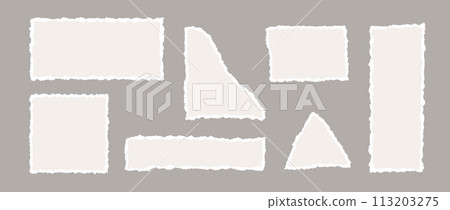 Beige torn paper pieces collection. Ecru shapes with jagged uneven edges. Ripped different paper fragment set. Textured grunge element bundle for collage, text box, banner, sticker, poster. Vector 113203275