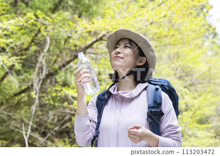 A woman enjoying a hike in fresh greenery 113203472
