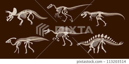 Cartoon dinosaur fossil skeletons, vector dino animals skulls and bones. Triceratops, tyrannosaurus rex, stegosaurus and spinosaurus, parasaurolophus and utahraptor ancient reptile monster skeletons Cartoon dinosaur fossil skeletons, vector dino animals skulls and bones. Triceratops, tyrannosaurus rex, stegosaurus and spinosaurus, parasaurolophus and utahraptor ancient reptile monster skeletons 113203514