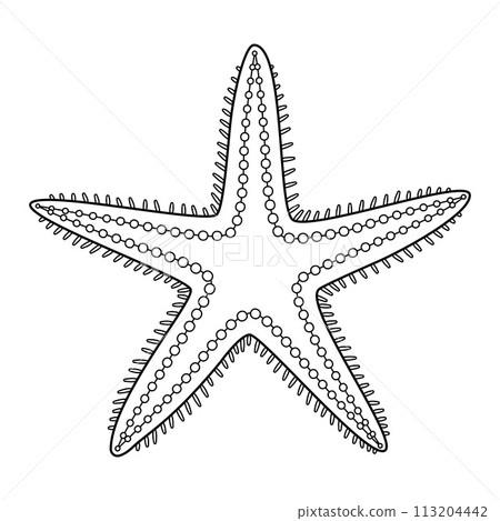 Starfish Black and white. Art therapy Coloring page Starfish Black and white. Art therapy Coloring page 113204442