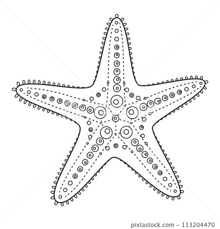 Starfish Black and white. Art therapy Coloring page 113204470