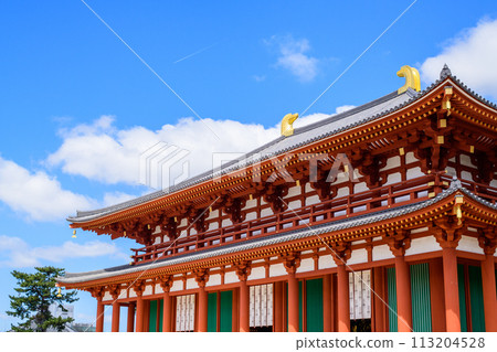 Kofukuji Temple: The restored Chukondo Hall and blue sky, Nara Prefecture 113204528