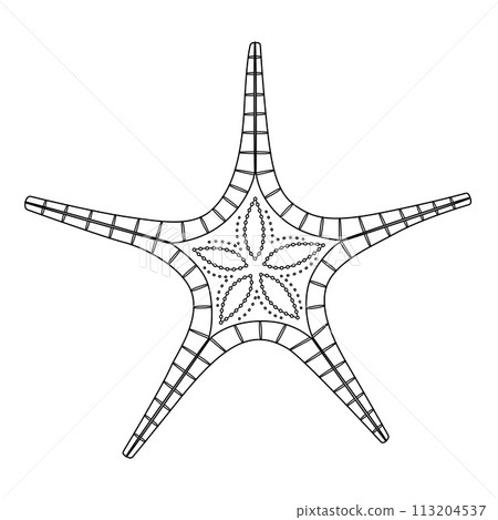 Starfish Black and white. Art therapy Coloring page 113204537