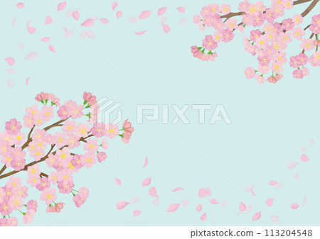 Watercolor style cherry blossoms in full bloom and petals background 113204548