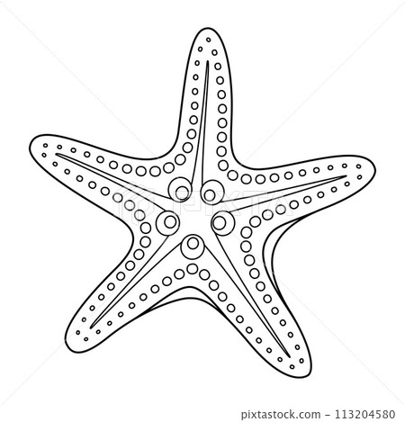 Starfish Black and white. Art therapy Coloring page 113204580