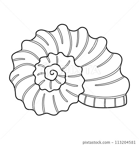 Seashell. Black and white outline. Art therapy Coloring page Seashell. Black and white outline. Art therapy Coloring page 113204581