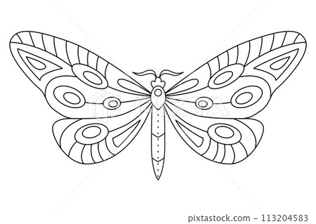 Butterfly black white isolated sketch illustration. Coloring page for kids and adults. Butterfly black white isolated sketch illustration. Coloring page for kids and adults. 113204583
