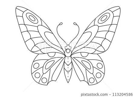 Butterfly black white isolated sketch illustration. Coloring page for kids and adults. Butterfly black white isolated sketch illustration. Coloring page for kids and adults. 113204586