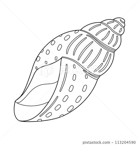 Seashell. Black and white outline. Art therapy Coloring page 113204590