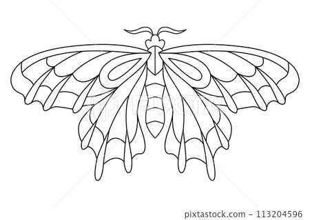 Butterfly black white isolated sketch illustration. Coloring page for kids and adults. Butterfly black white isolated sketch illustration. Coloring page for kids and adults. 113204596